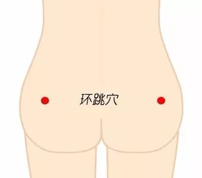 环跳穴